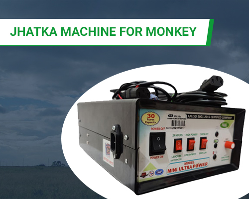Jhatka Machine For Monkey In Gwalior